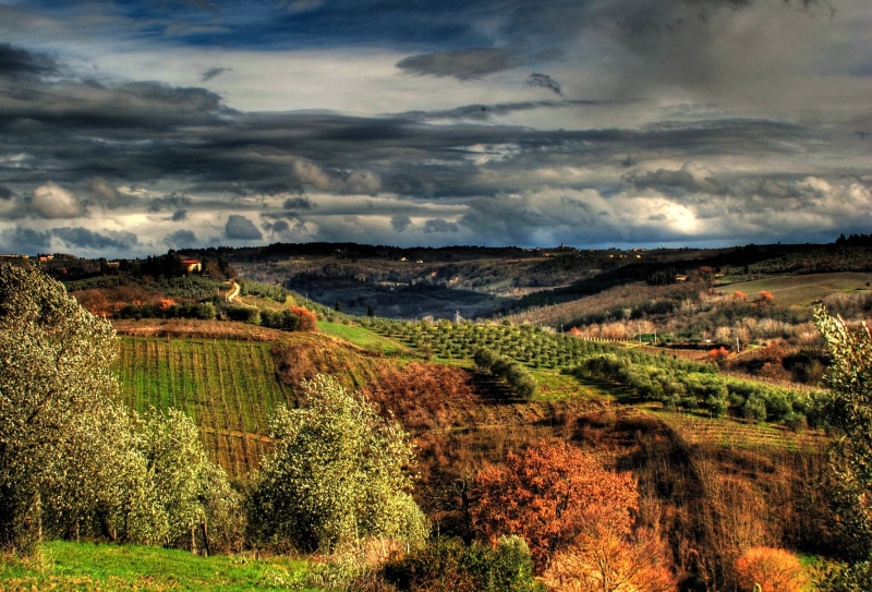 f2.8, autumn, hdr, landscape photography, landscape, italian Culture, mountain, plantation, landscaped, tree, agriculture, cloud - Sky, grape, vine, toscana