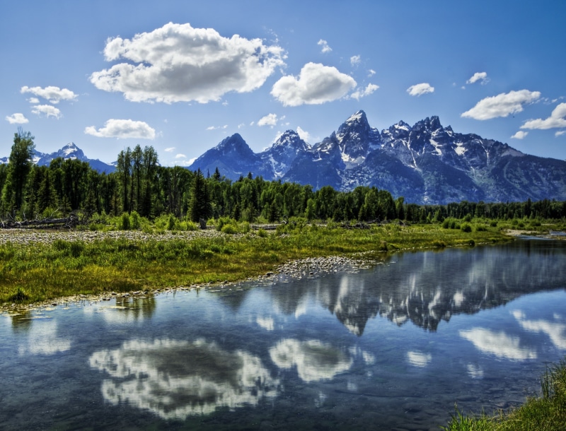 dynamic, Angle, art, Shot, wilderness, landscape, Capture, Shoot, Treatment, professional, tree, Grand Tetons, sky, 2K, beautiful, tutorial, photography