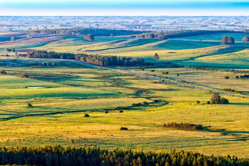 farm, grass field, photo, grass, green, fields, landscaped, daytime, green grass, agriculture, hill, tuscany, farmhouse, land, 2K, hills, aerial, house