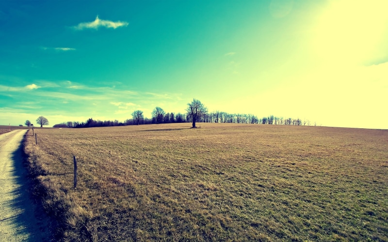 springtime, non-Urban Scene, europe, sunrise - Dawn, cultivated, meadow, chianti Region, yellow, dirt, plant, lighting Technique, sunlight, landscaped