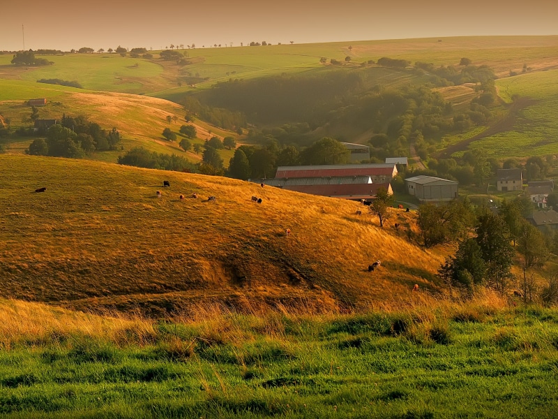 farm, tranquility, sunset, autumn, beauty in nature, green color, grass, agriculture, europe, environment, italy, tuscany, hill, moldava, land, summer