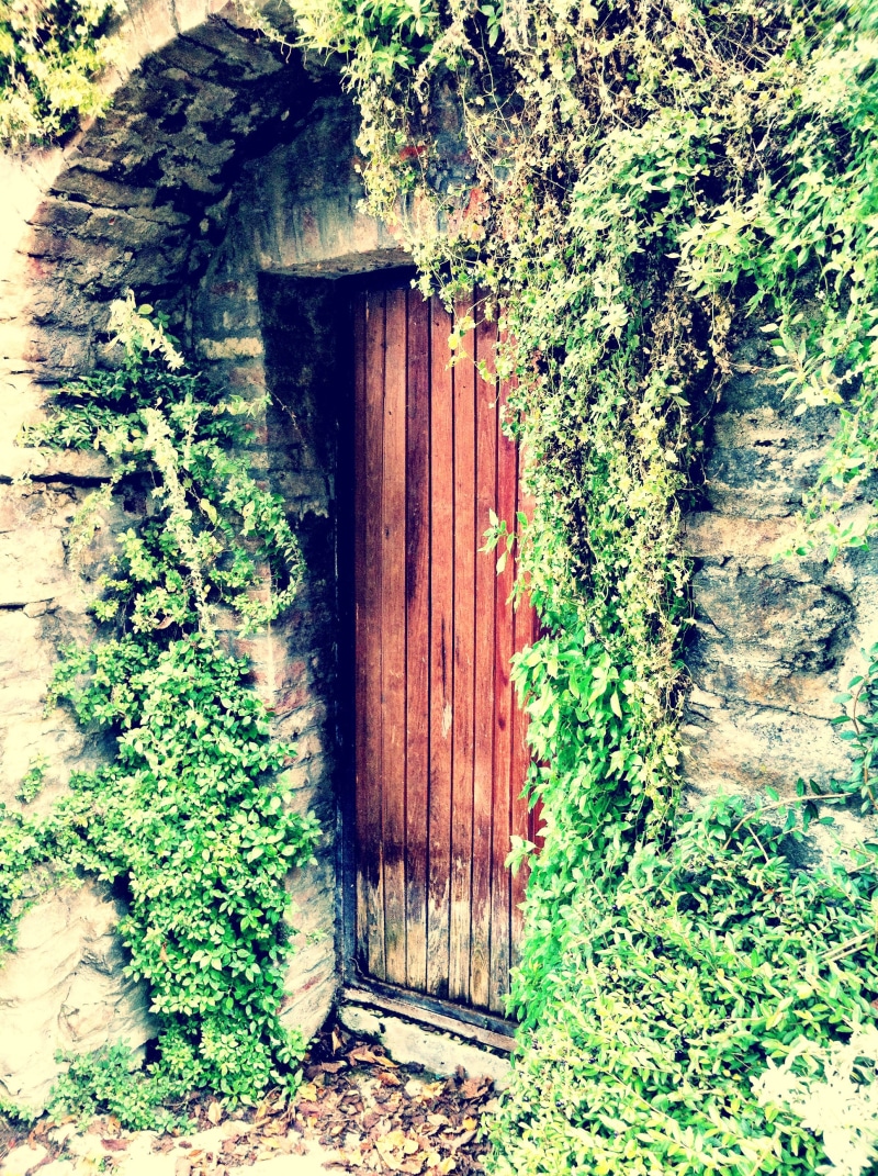 wood, rural Scene, door, building, old-fashioned, plant part, house, plant, entrance, day, architecture, 2K, leaf, outdoors, growth, nature, no people
