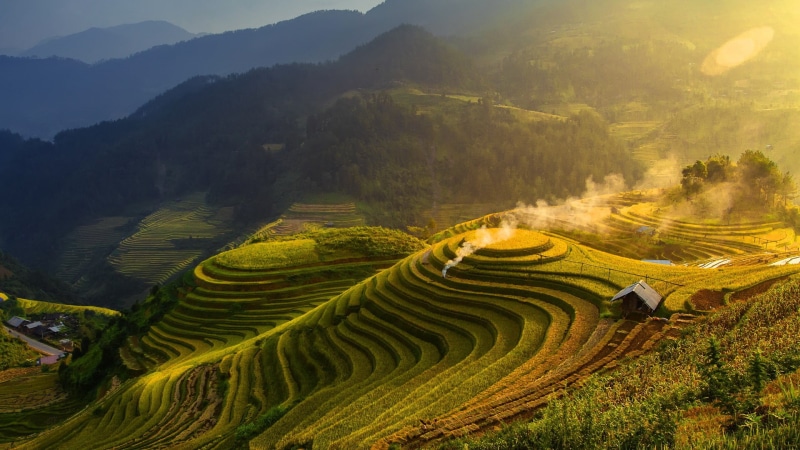 plant, farm, beautiful, mountain, no people, outdoors, rice - cereal plant, crop, environment, growth, terrace, rice, land, agriculture, china, terraced