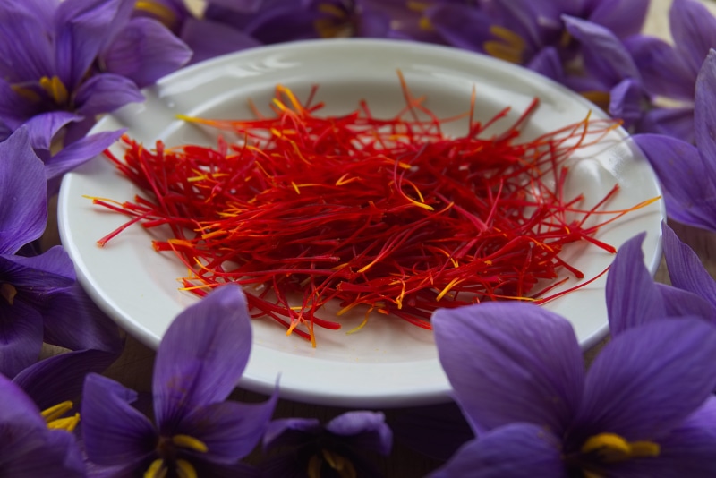 health, 5K, power, petal, crocus sativus, plant, inflorescence, vulnerability, pistils of saffron, fall, flower head, flower, food, poitiers, food and drink