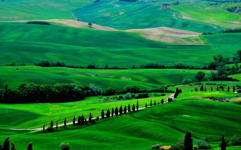 1080P, Scenery, Tuscany, Road, Italy, Green, Fields, Spring, Trees