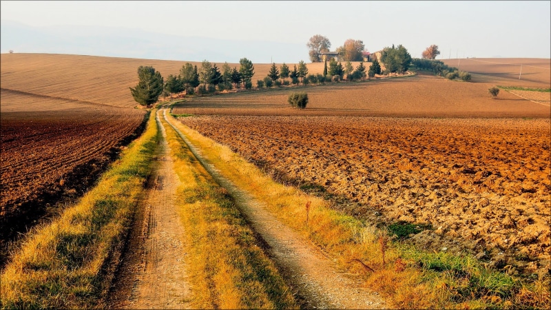 grass, no people, environment, trees, tranquil scene, tranquility, road, the way forward, landscape, scenics - nature, outdoors, rocky, dirt road, dirt