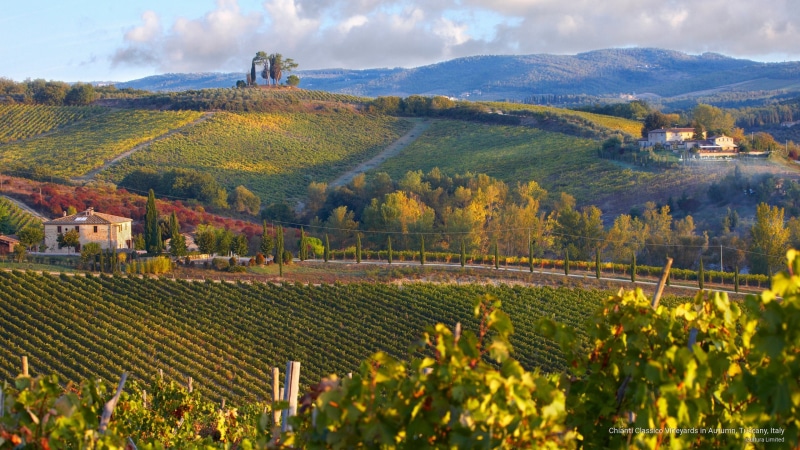 classico, Europe, vineyards, tuscany, chianti, autumn, italy, 2K