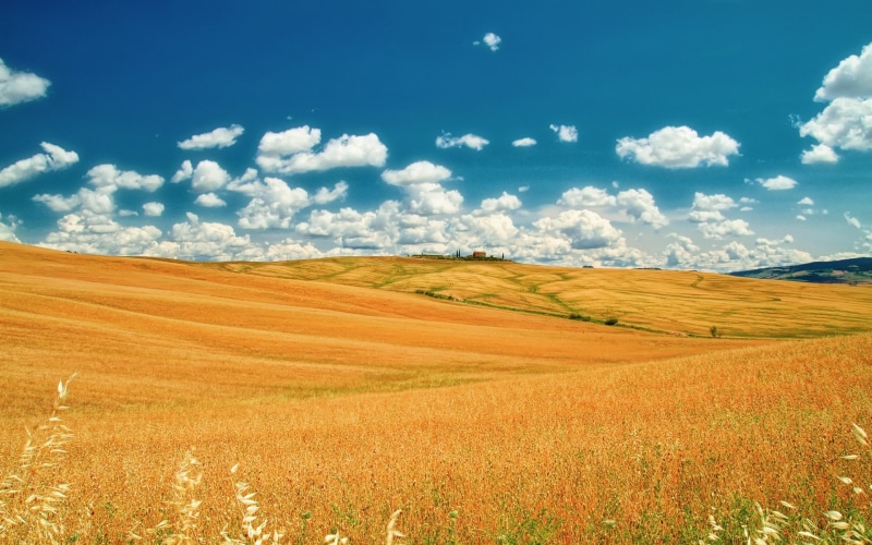 Blue, Italy, Tuscany, Summer, 1080P, Fields, Sky, Clouds, Yellow