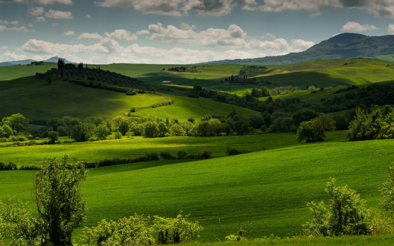 Trees, Italy, Tuscany, Clouds, 2K, Fields, Green, Dusk