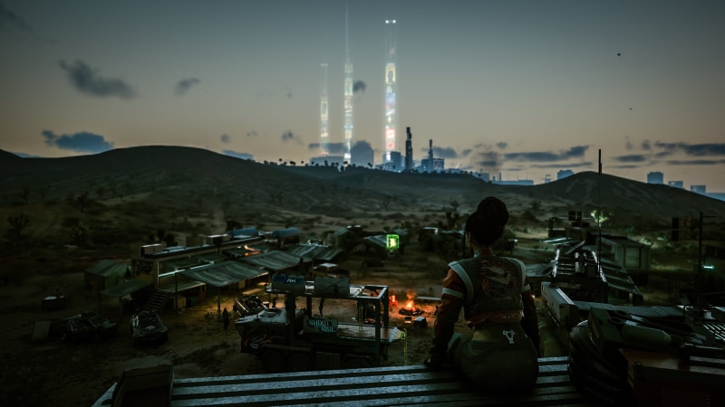 Cyberpunk 2077, 1080P, Aldecaldos, Panam Palmer