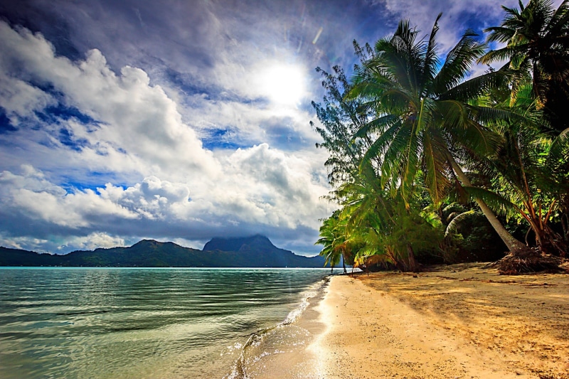 coconut palm tree, water, trees, palm, tree, island, nature, mountain, beach, Bora Bora, palm tree, sky, sunlight, tranquility, cloud - sky, sand, tropical