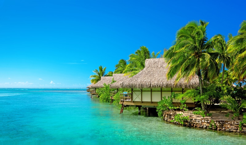 thatched Roof, plant, scenics, horizon over water, tropical Climate, travel, maldives, tree, built structure, tahiti, bora Bora, sea, caribbean Sea, coastline