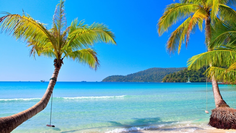 palm trees, nature, blue, trees, tree, coconut palm tree, horizon over water, land, 1080P, scenics - nature, coconut, sky, beauty in nature, bay, two