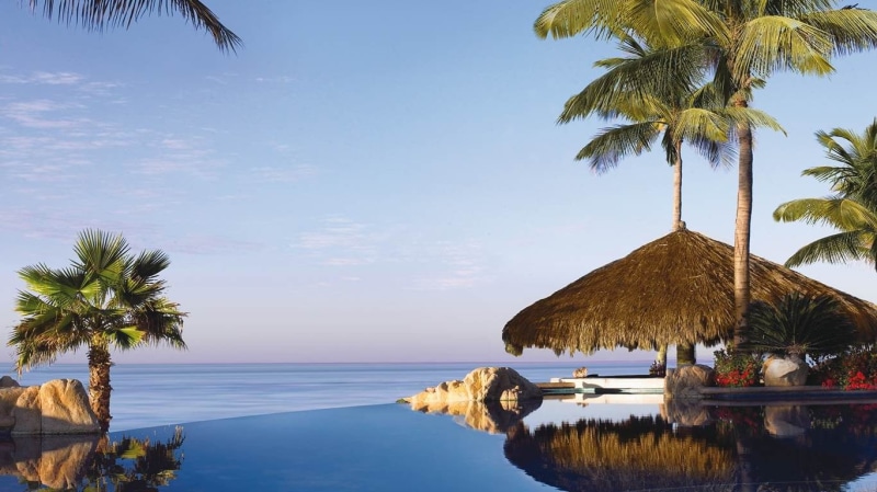 growth, palm leaf, outdoors, no people, coconut palm tree, plant, nature, beauty in nature, landscape, resort, sea, beach, thatched roof, Caribbean, flowers