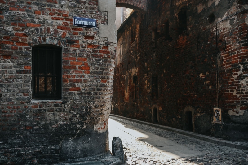 outdoors, wall - Building Feature, vine, weathered, history, transportation, alley, day, architecture And Buildings, Old, window, building, architecture