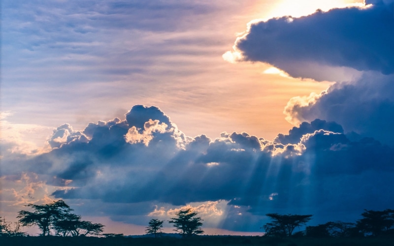 sunbeam, trees, silhouette, non-urban scene, space, tranquility, tree, sunset, dramatic sky, cloudy, plant, beauty in nature, sunlight, cloud - sky, clouds