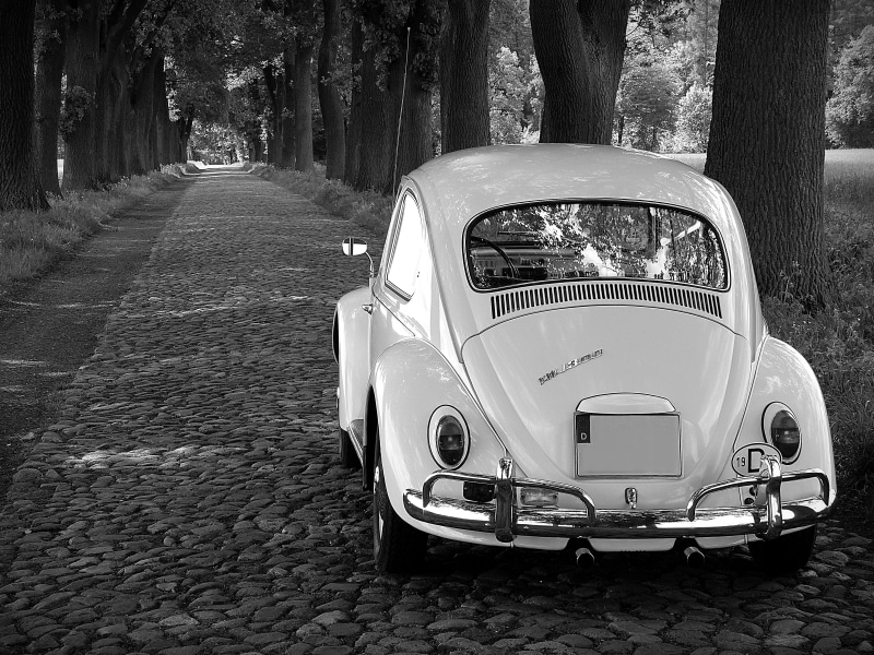 vintage car, coupe, parked, cobblestones, mode of transportation, 4K, tree, day, auto, city, tree trunk, stationary, beetle, outdoors, vw, oldtimer, volkswagen