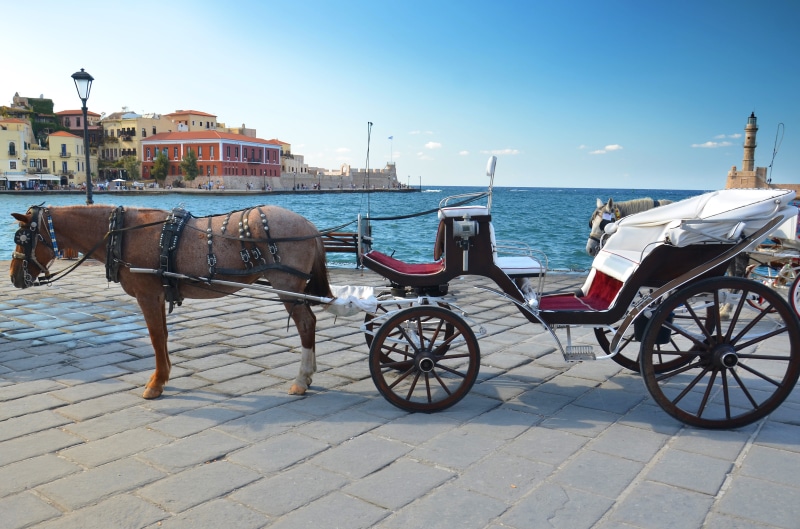 mammal, port, cart, sea, Crete, city, outdoors, built structure, wheel, Chania, architecture, mode of transportation, mode of transport, transportation