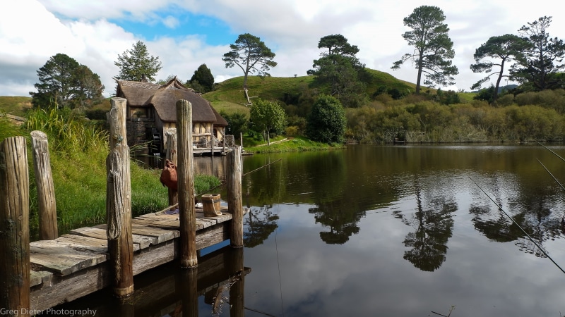 tree, 4K, growth, beauty in nature, Hobbiton, wooden, architecture, dock, day, tranquility, brown, green, no people, tranquil scene, fishing, landscape
