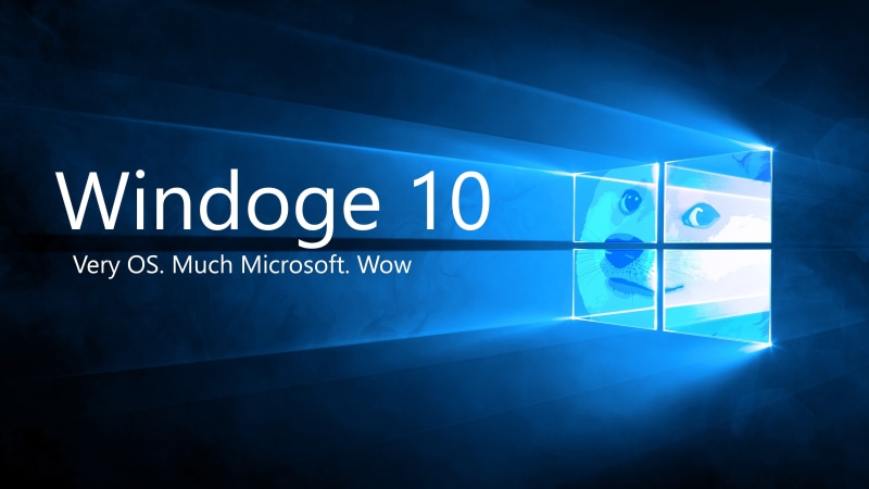 Shiba Inu, 4K, Doge, Memes, Microsoft Windows