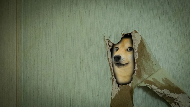 1080P, doge, memes