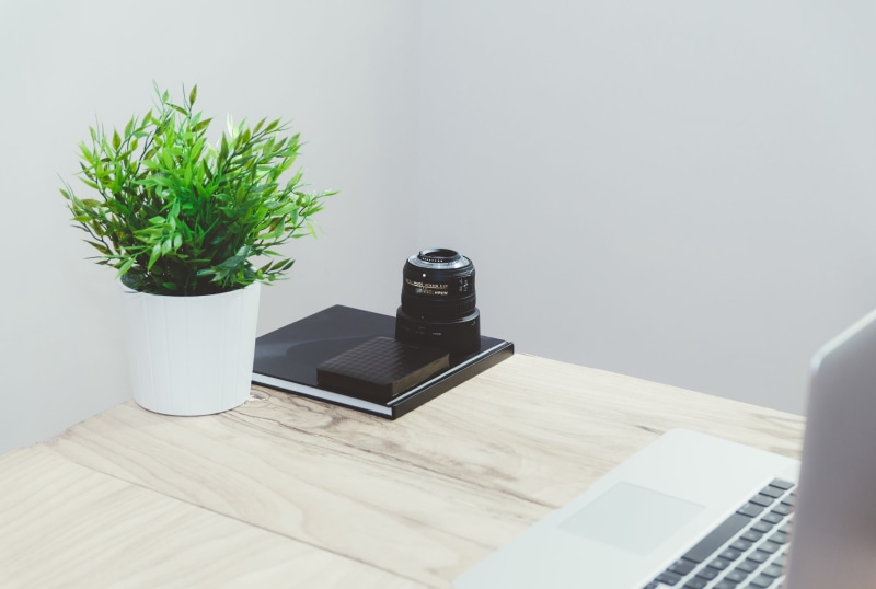 home Interior, wooden, teleconverter, computer, office, potted, near, indoors, wood - material, laptop, green leaf, desk, wall - Building Feature, nature
