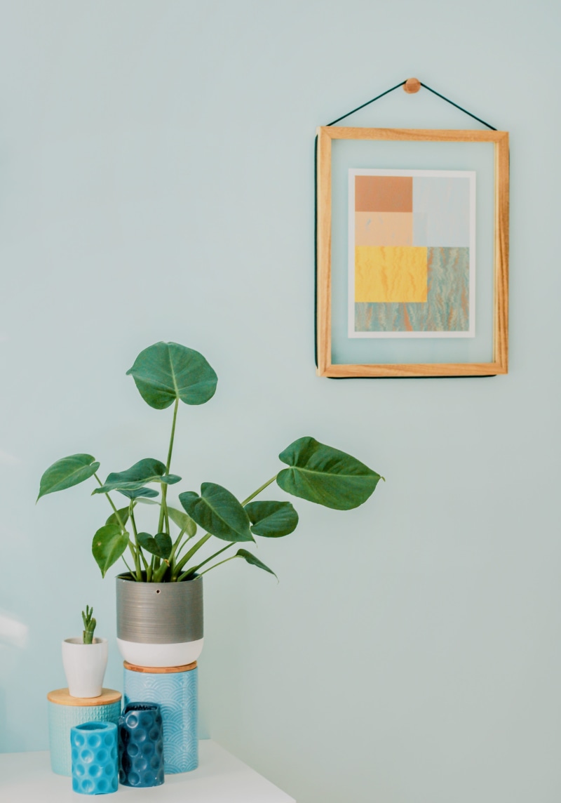 orbicular, decor, candles, furniture, indoors, growth, 4K, interior design, interior, room, frame, plant, inside, design, contemporary, plants, picture frame