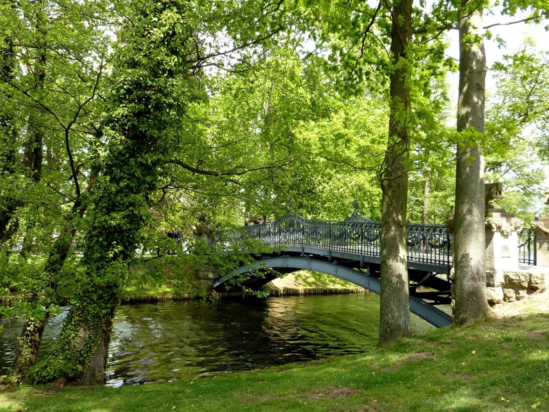 arch bridge, green, lake mirow, plant, forest, built structure, transportation, architecture, connection, tree, nature, footbridge, trees, mirow, park
