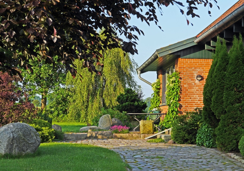 4K, sky, building, day, grass, formal Garden, ornamental Garden, outdoors, green Color, birch, house, landscaped, Home Garden, copper beech, architecture And Buildings