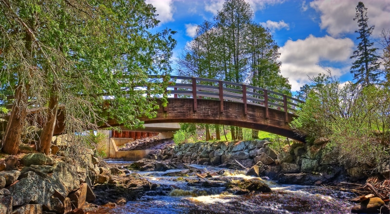surrounded, river, trees, brown, tree, hdr, nature, black river, bridge - Man Made Structure, 1080P, green, Wisconsin, Zen, Pattison State Park, forest
