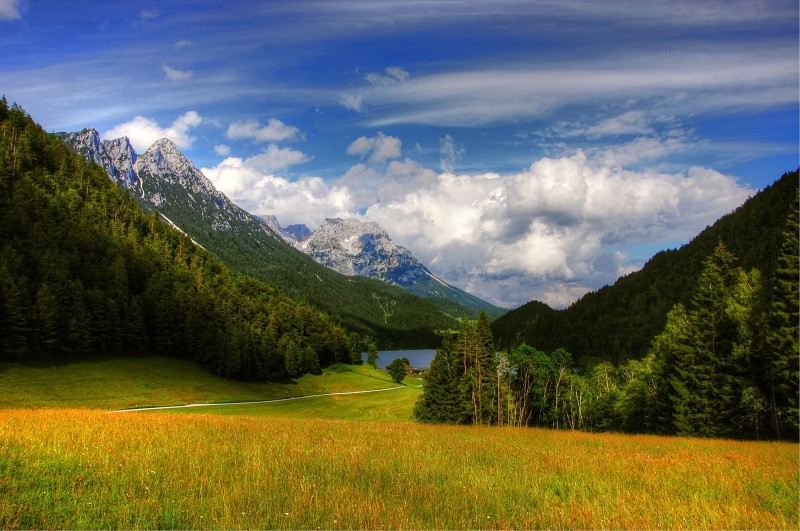 landscapes, mountain, green, pine tree, rural Scene, grass, environment, forest, tranquil Scene, panoramic, pine woodland, hike, mountains, europe, summer