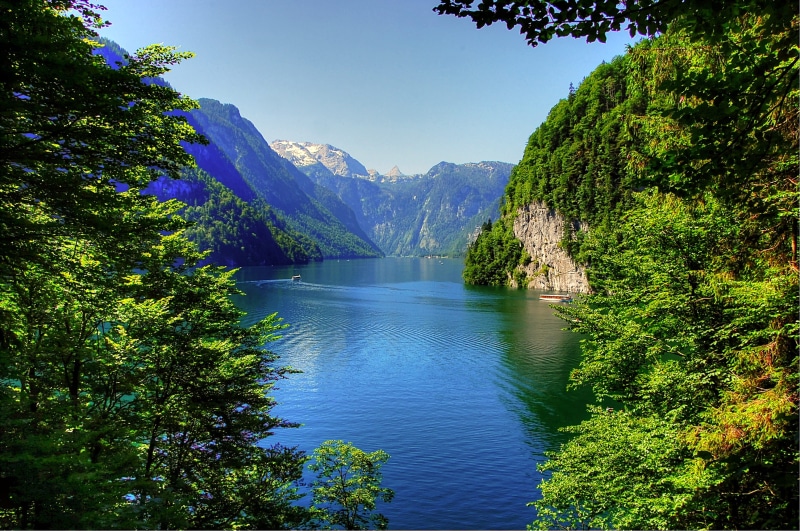 growth, tranquil scene, mountains, berchtesgaden, bavaria, bavarian alps, summer, body, idyllic, view, 2K, königssee, holidays, plant, bergsee, tree, body of water