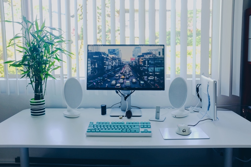 monitor, nature, computer monitor, flat, wireless technology, window, desk, technology, speakers, photo, connection, communication, plant, mouse, black