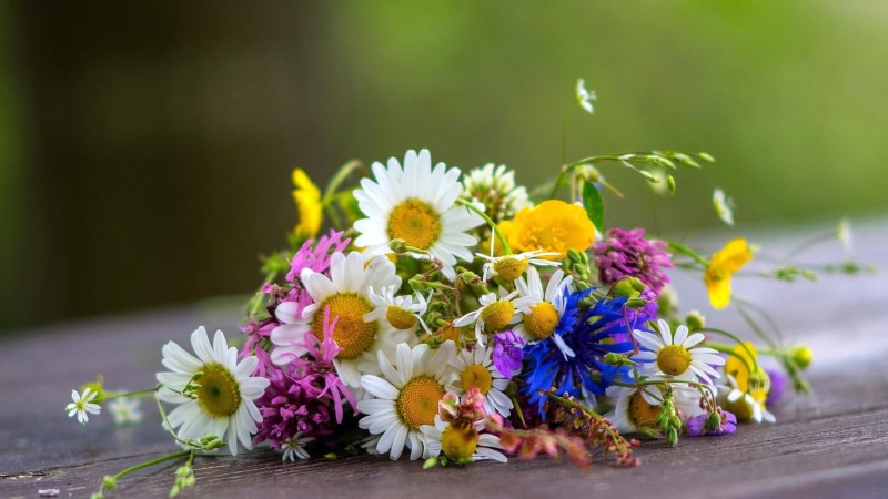 springtime, petaled, bouquets, bouquet, flowering plant, no people, inflorescence, flower head, day, nature, flower arrangement, 1080P, plant, fragility
