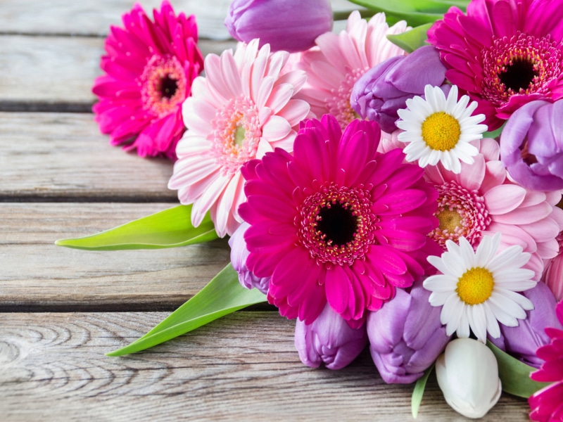 gerbera, romance, gerbera Daisy, backgrounds, flower arrangement, table, 5K, yellow, decoration, fragility, blossom, space, chamomile, cut Flowers, love