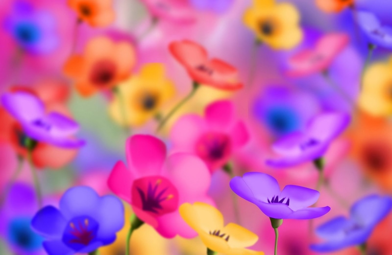 plant, color Image, colorful, vulnerability, inflorescence, flowers, yellow, freshness, green Color, backgrounds, outdoors, close-up, springtime, purple