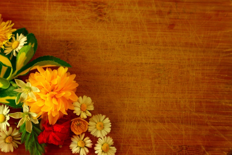 surface, orange Color, background, backgrounds, nature, petaled, vulnerability, indoors, growth, table, plant, yellow, flowers, wooden, high angle view