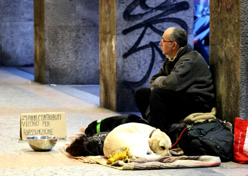 poverty, silence, government, short, solidarity, 4K, economy, men, road, coated, waiting, sadness, occupation, simplicity, jacket, dog, man on the street