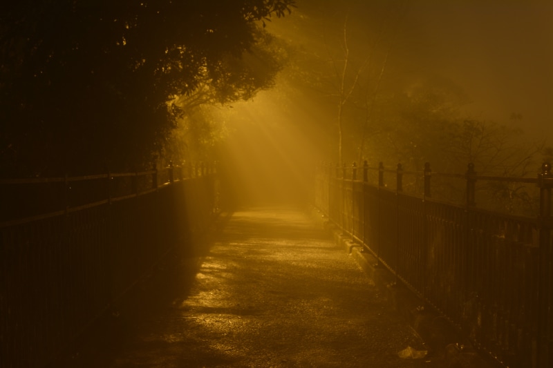 the way forward, asia, road, outdoors, sunlight, fog, light, night, land, plant, hong, hong kong, 5K, architecture, city, foggy, forest, direction, no people