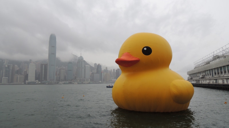 travel, urban, nature, no people, city, building, cityscape, Hong Kong, harbour, tourism, river, floating on water, kong, Victoria Harbour, photo, business