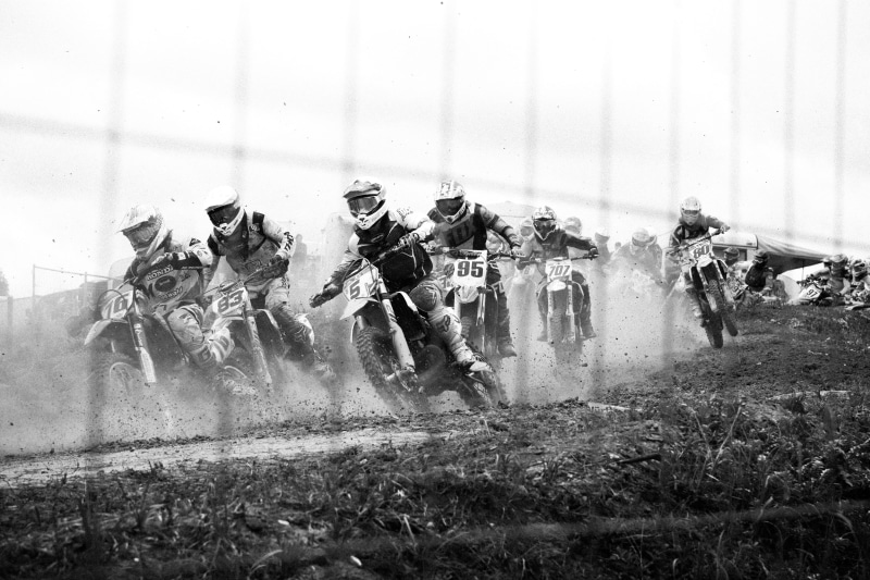 fight, fence, motocross, motorbike, domestic animals, aggression, photo, competition, sirt, group, numbers, livestock, raceday, race, motorcross, government
