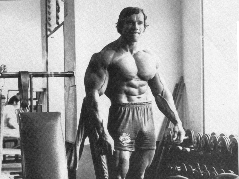 bodybuilding, muscles, 1080P, Arnold Schwarzenegger, Bodybuilder, working out, exercise