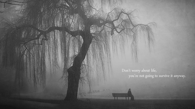 motivational, illustration, going, 1920x1080, worry, text, t, re, motivation, anyway, inspiration, life, 1080P, survive, don, quotes