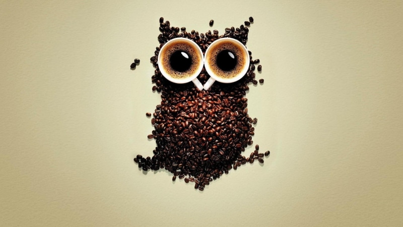 coffee, owl, cup, funny, coffee beans, cups, 1080P, beans