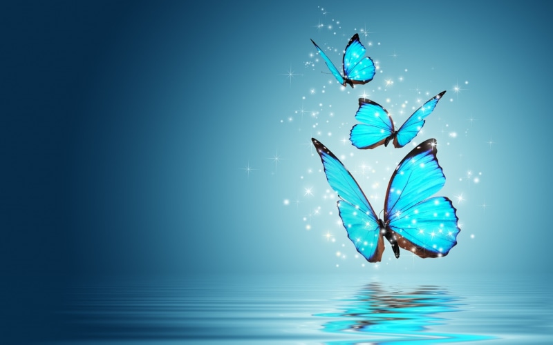 design inspiration, butterfly, butterflies, blue, art, 2K