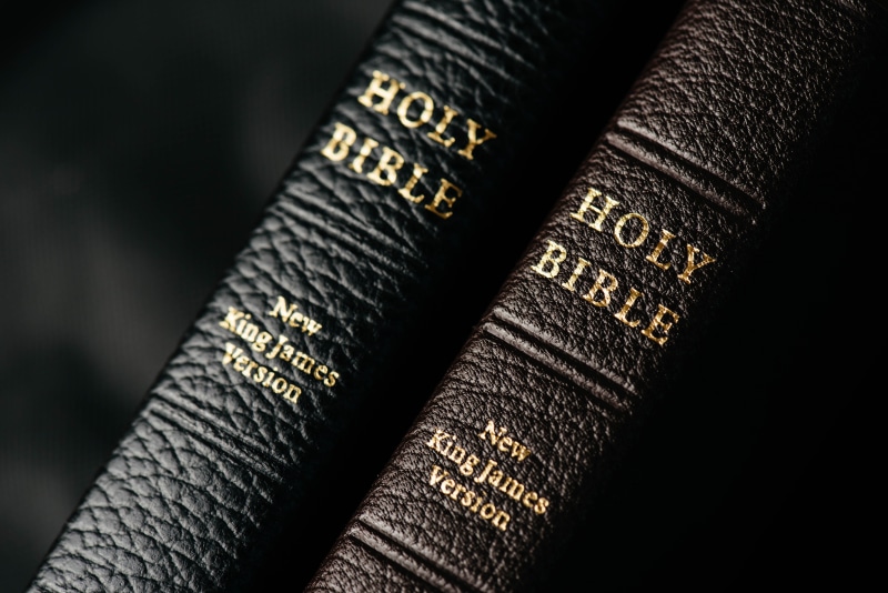 clothing, gold, black background, beauty, holy, business, human body part, side, 5K, black color, bible, body part, extreme close-up, people, read, macro