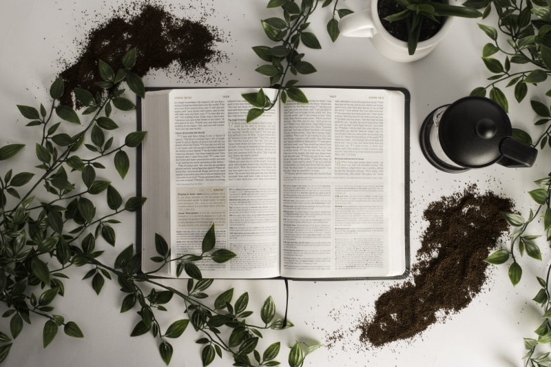 5K, holy, fuel, green color, freshness, publication, love, leaves, journal, foliage, open, no people, leaf, savior, potted plant, tabletop, salvation