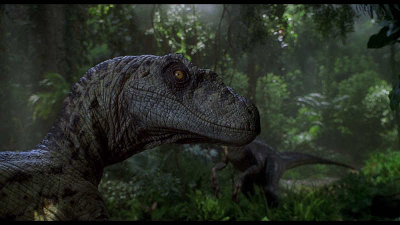Velociraptor, Jurassic Park III , 1080P, Jurassic Park