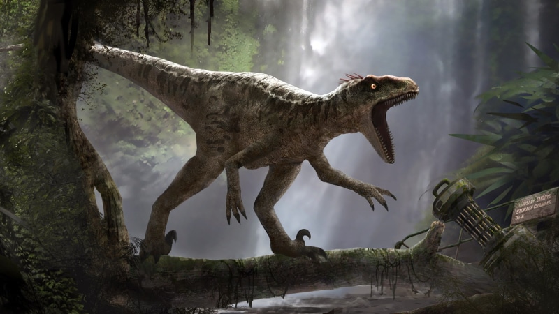 Jurassic Park, 1080P, Dinosaur