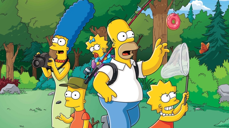 musician, music, arts culture and entertainment, string instrument, multi colored, noise, musical instrument, Lisa Simpson, Marge Simpson, nature, creativity